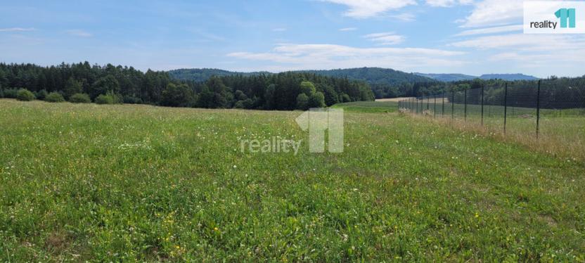 Prodej pozemku pro bydlení, Čížová - Topělec, 4210 m2