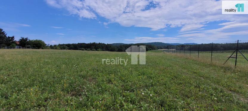 Prodej pozemku pro bydlení, Čížová - Topělec, 4210 m2