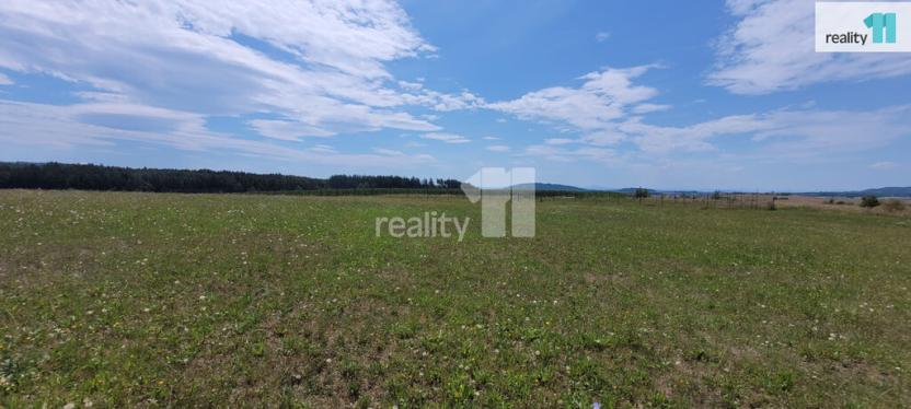 Prodej pozemku pro bydlení, Čížová - Topělec, 4210 m2