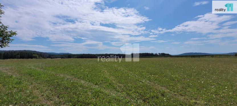 Prodej pozemku pro bydlení, Čížová - Topělec, 4210 m2