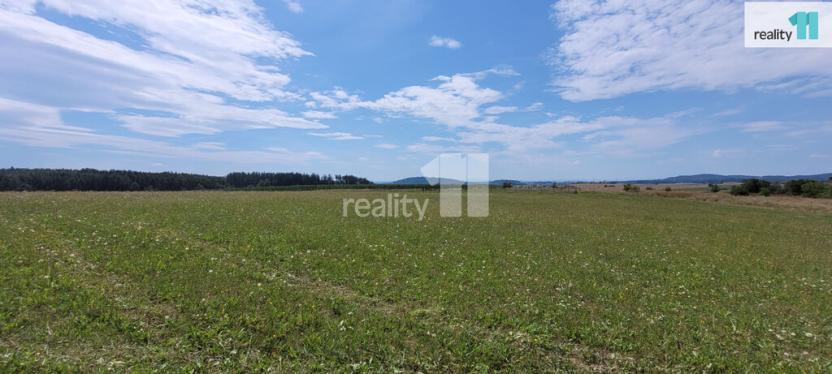 Prodej pozemku pro bydlení, Čížová - Topělec, 4210 m2