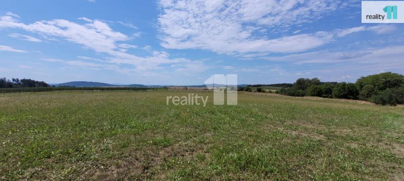 Prodej pozemku pro bydlení, Čížová - Topělec, 4210 m2