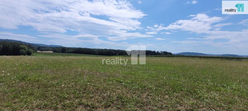 Prodej pozemku pro bydlení, Čížová - Topělec, 4210 m2