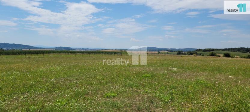 Prodej pozemku pro bydlení, Čížová - Topělec, 4210 m2