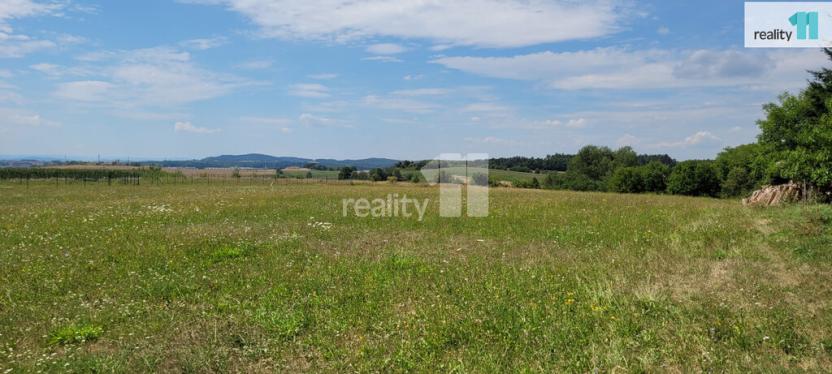 Prodej pozemku pro bydlení, Čížová - Topělec, 4210 m2