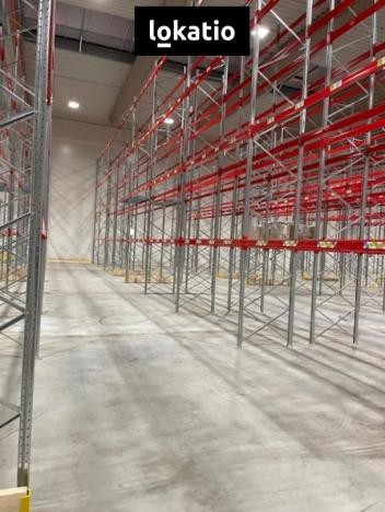 Pronájem skladu, Hostomice, 4948 m2