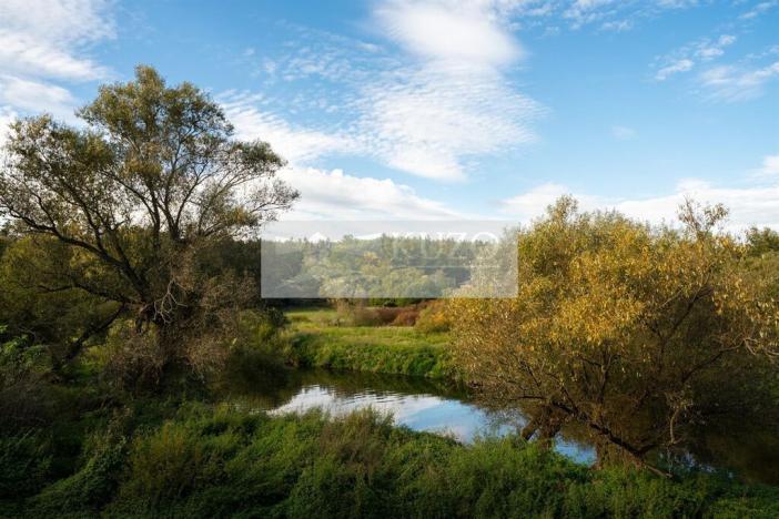 Pronájem ubytování, Plzeň, K Papírně, 574 m2