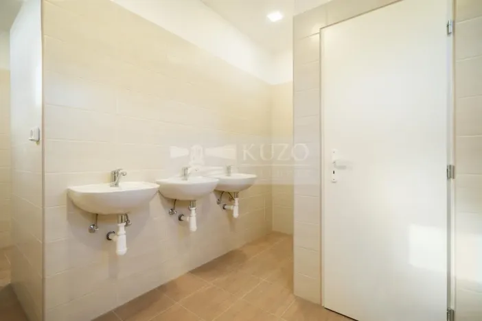 Pronájem ubytování, Plzeň, K Papírně, 574 m2