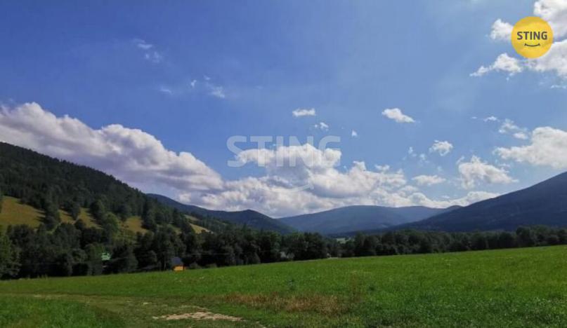 Prodej pozemku pro bydlení, Bělá pod Pradědem - Domašov, 3673 m2