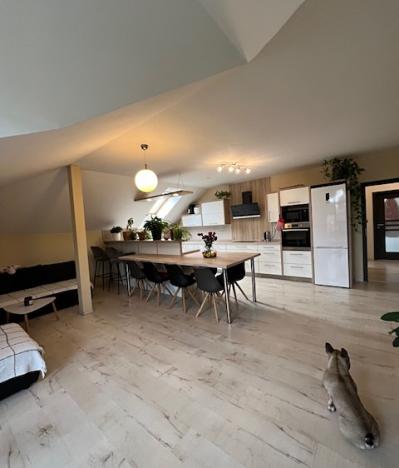 Prodej bytu 4+kk, Chodov, Bezručova, 120 m2