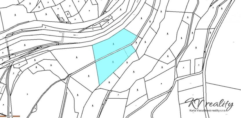 Prodej lesa, Poniklá, 11613 m2