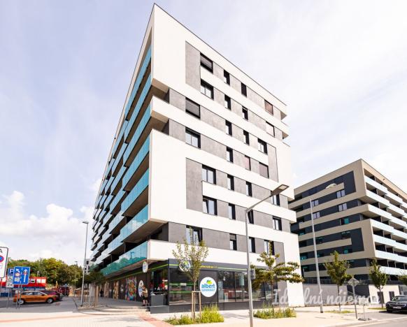 Pronájem bytu 2+kk, Praha - Žižkov, Olgy Havlové, 46 m2