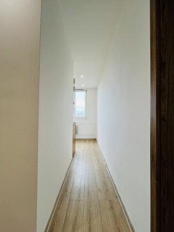 Pronájem bytu 2+1, Ostrava - Hrabůvka, Josefa Kotase, 54 m2