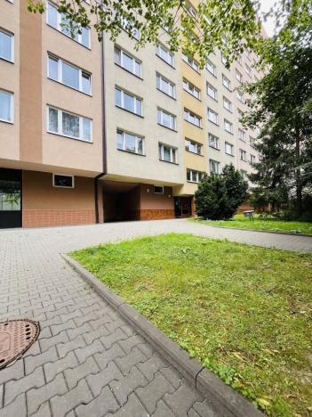 Pronájem bytu 2+1, Ostrava - Hrabůvka, Josefa Kotase, 54 m2