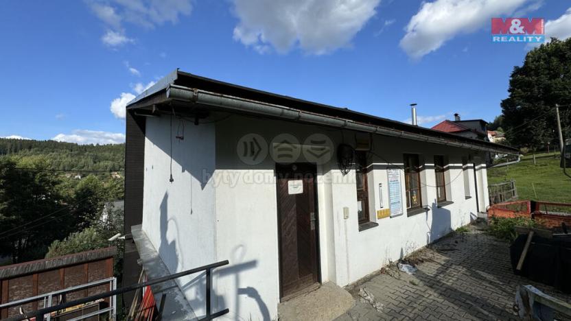 Prodej komerční nemovitosti, Plavy, 180 m2