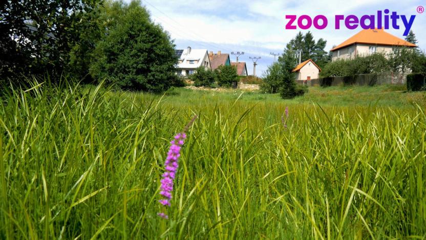 Prodej pozemku pro bydlení, Herálec - Český Herálec, 2518 m2