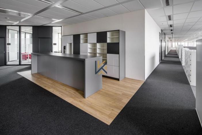 Pronájem kanceláře, Praha - Nusle, Pikrtova, 929 m2