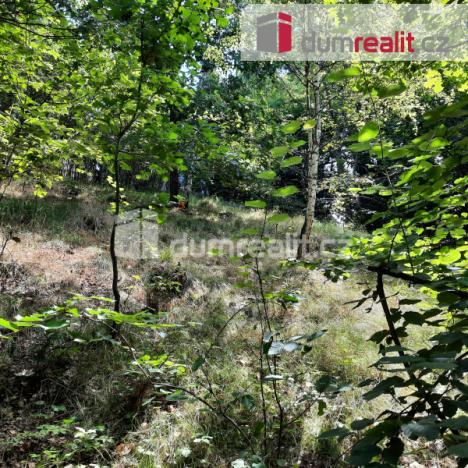 Prodej rodinného domu, Liberec - Liberec XXX-Vratislavice nad Nisou, Pod Skalkou, 115 m2