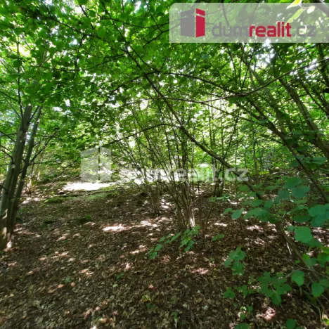 Prodej rodinného domu, Liberec - Liberec XXX-Vratislavice nad Nisou, Pod Skalkou, 115 m2