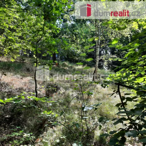 Prodej rodinného domu, Liberec - Liberec XXX-Vratislavice nad Nisou, Pod Skalkou, 115 m2