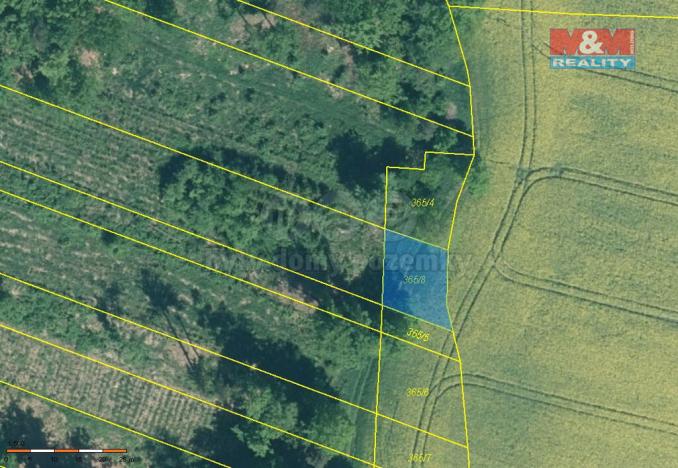 Prodej lesa, Stehlovice, 4125 m2