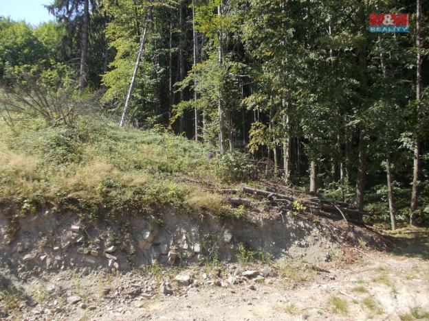 Prodej pozemku pro bydlení, Pstruží, 3955 m2