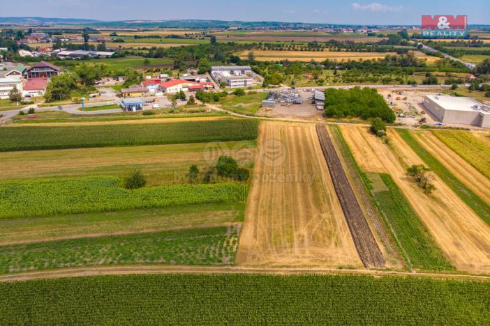 Prodej pole, Podivín, 2005 m2