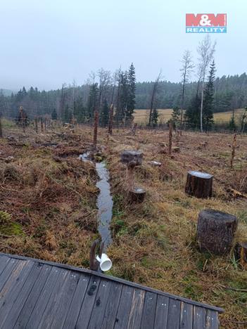 Prodej lesa, Vacovice, 37567 m2