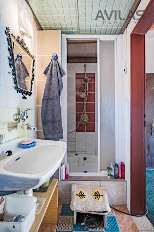 Prodej rodinného domu, Hradištko - Brunšov, Na Ovčičkách, 541 m2