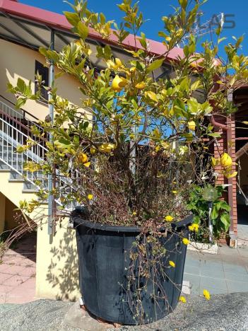 Prodej rodinného domu, 335 m2