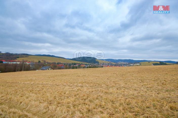 Prodej pozemku pro bydlení, Horní Lideč, 10675 m2