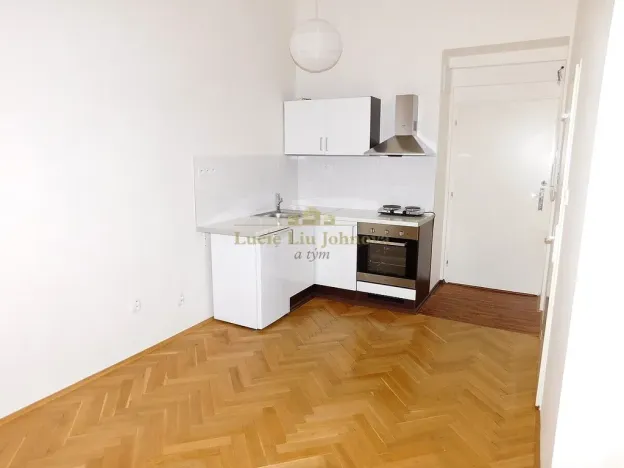 Pronájem bytu 1+kk, Praha - Libeň, Pod Labuťkou, 19 m2