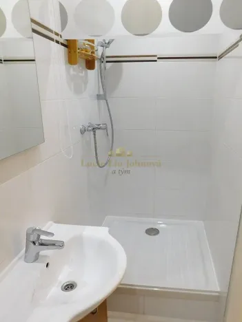 Pronájem bytu 1+kk, Praha - Libeň, Pod Labuťkou, 19 m2