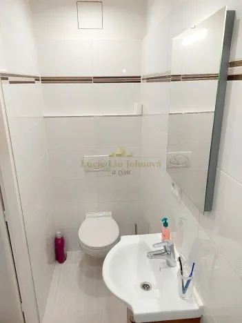 Pronájem bytu 1+kk, Praha - Libeň, Pod Labuťkou, 19 m2