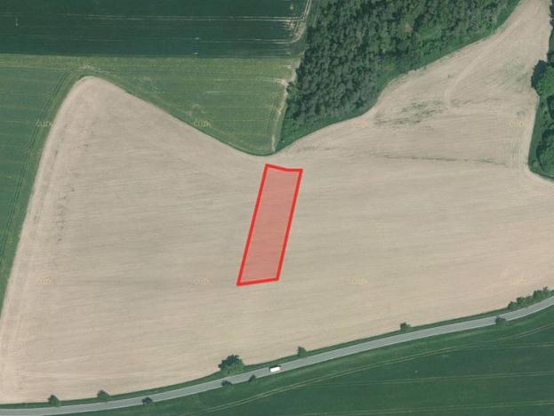 Prodej zemědělské půdy, Blížejov, 2760 m2