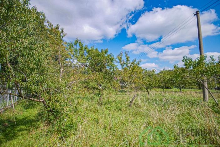 Prodej pozemku pro bydlení, Mikulovice, Na Bukovci, 1125 m2