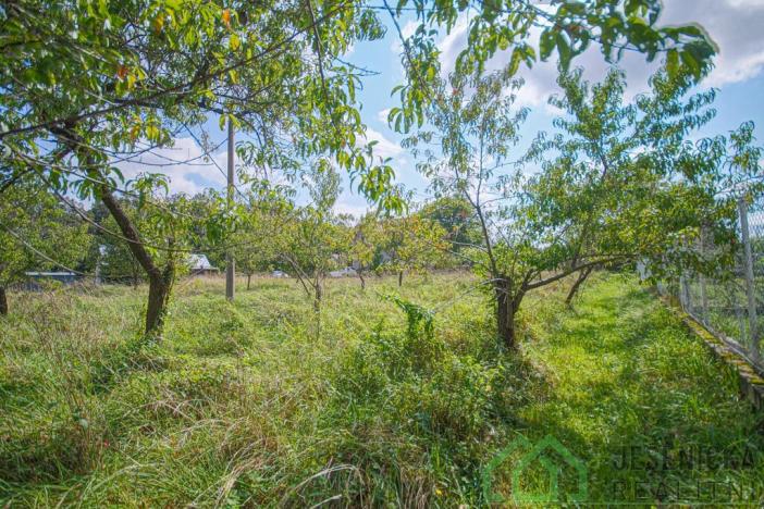 Prodej pozemku pro bydlení, Mikulovice, Na Bukovci, 1125 m2