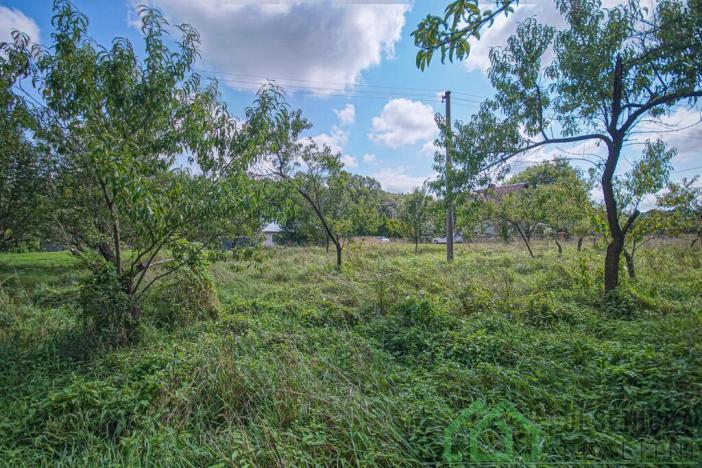 Prodej pozemku pro bydlení, Mikulovice, Na Bukovci, 1125 m2