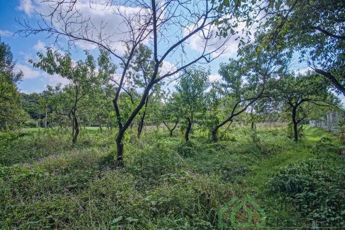 Prodej pozemku pro bydlení, Mikulovice, Na Bukovci, 1125 m2