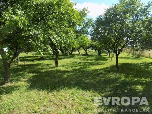 Prodej zahrady, Bělušice, 4787 m2