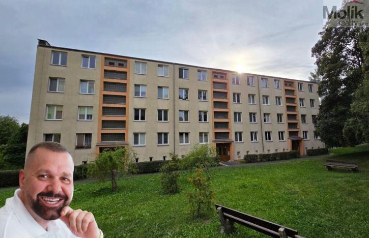 Prodej bytu 3+kk, Meziboří, J. A. Komenského, 58 m2