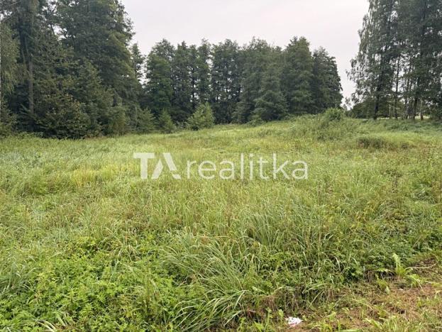 Prodej zemědělské půdy, Orlová, Zátiší, 4084 m2