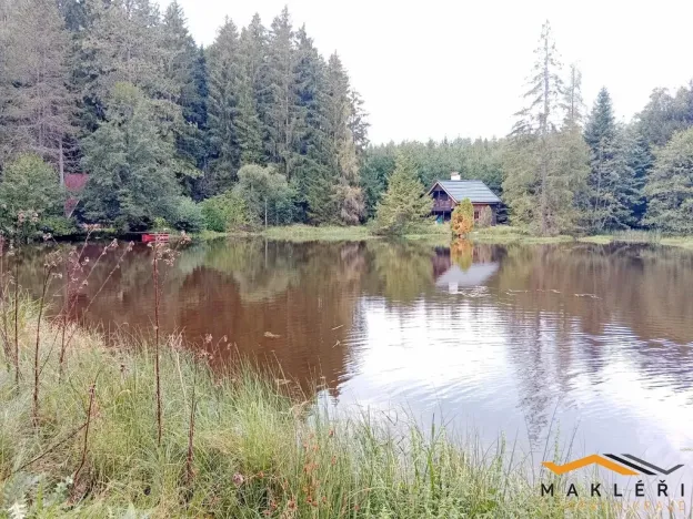 Prodej zemědělské usedlosti, Horní Radouň - Starý Bozděchov, 2600 m2