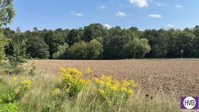 Prodej zahrady, Praha - Újezd, 12939 m2