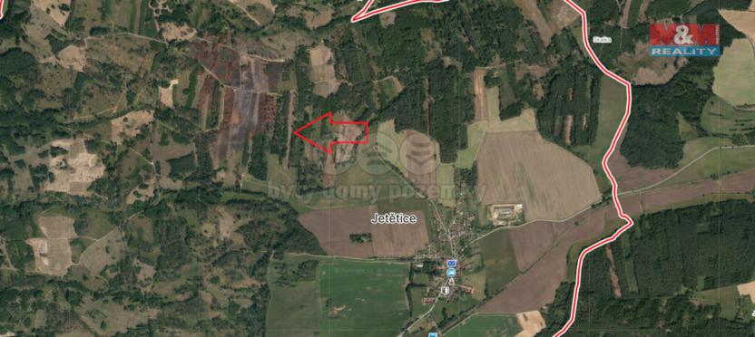 Prodej lesa, Jetětice, 4993 m2