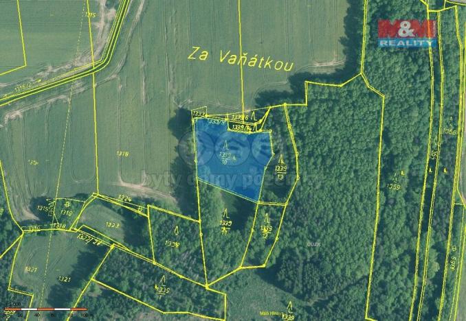 Prodej lesa, Skály, 20093 m2