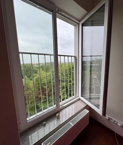 Prodej bytu 2+kk, Karlovy Vary, Chebská, 50 m2