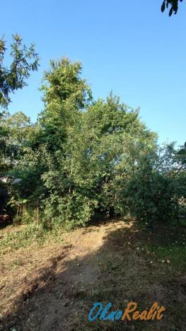 Prodej zahrady, Přerov - Přerov VIII-Henčlov, 1043 m2