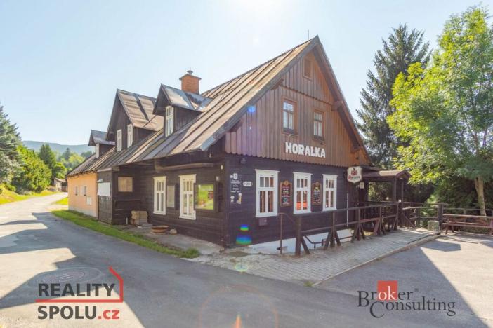 Prodej ubytování, Rokytnice nad Jizerou - Horní Rokytnice, 380 m2