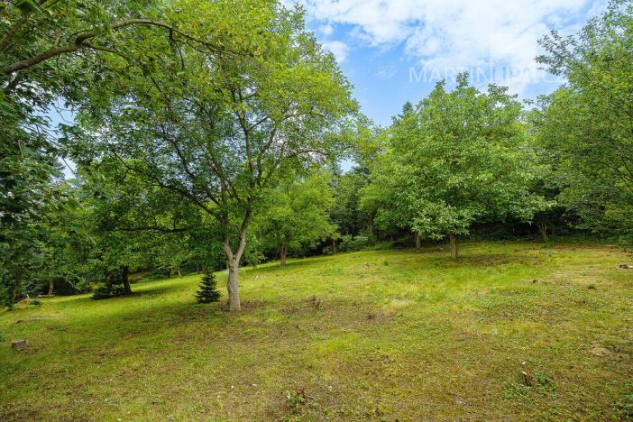 Prodej pozemku pro bydlení, Roztoky, V Úvoze, 3034 m2